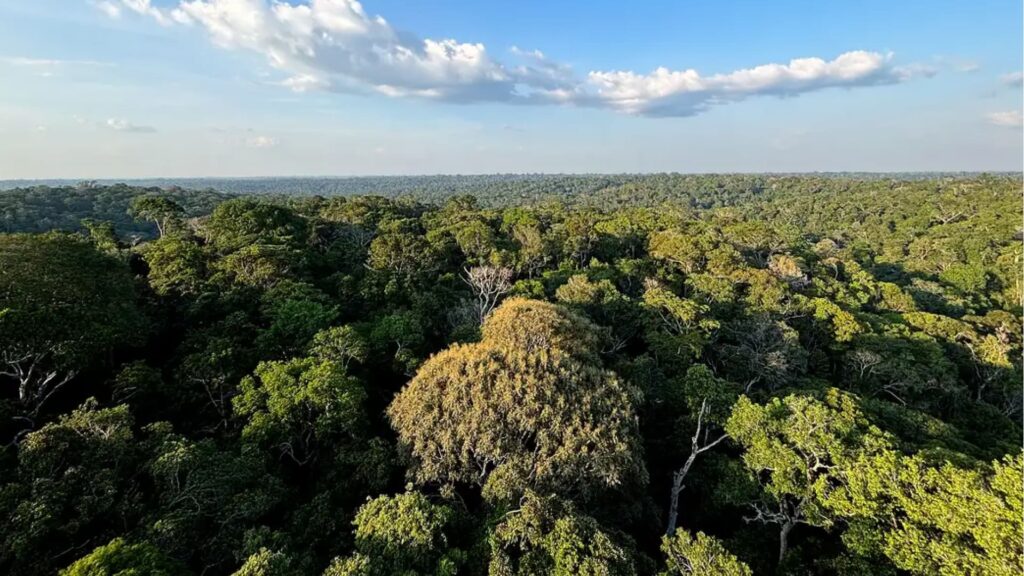 Novo Marco do Licenciamento Ambiental