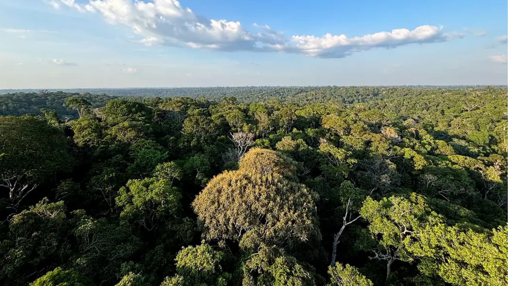 Novo Marco do Licenciamento Ambiental