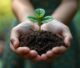 Licenciamento ambiental em Minas Gerais